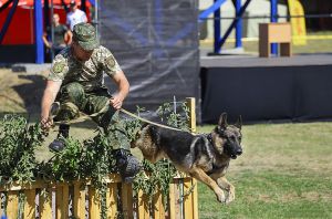 Альма не підвела