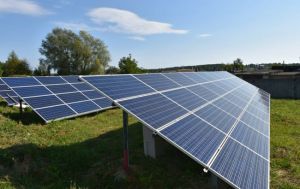Жителі села Полошки хочуть не електростанцію, а пасовище