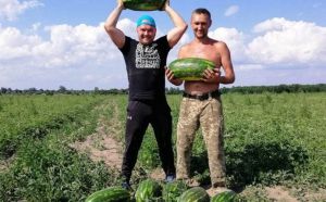 Поїду на Волинь по... кавуни