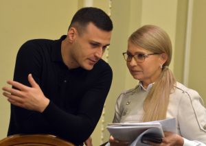 Урядовий законопроект — це лише частина широкої земельної реформи