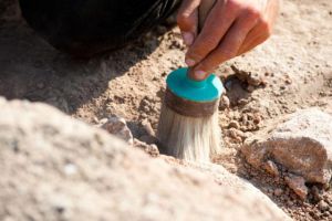 Розкопали невідому фортецю у Таврійському степу 