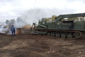 У Запорізькій області борються з наслідками поширення вірусу АЧС