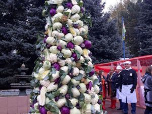 Дощ пахучому борщу не завадить!