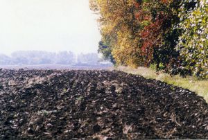 Необхідне широке публічне обговорення