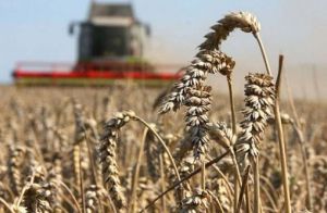 Як підтримати аграріїв, коли ресурс обмежений