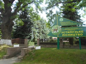У Володимир-Волинському районі відсудили ліс