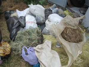 У печах цегельного заводу на Буковині палили сітки