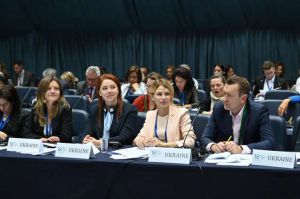 Зупинили проект створення  кишенькового міжнародного механізму