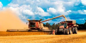 Українські аграрії і сіють, і збирають