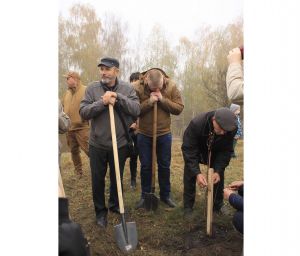 Про полеглих нагадуватимуть дуби
