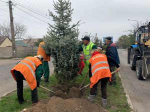 Індустріальне місто Запоріжжя зазеленіє