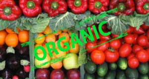 Сільгоспвиробникам допомагають сертифікувати екологічну продукцію