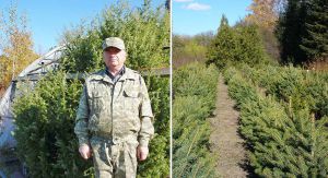 Зелені насадження у таврійському степу рятують разом