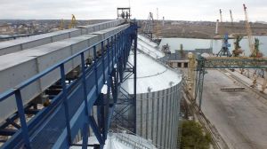 Одеський портовий елеватор повернули державі