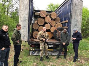 На лісовому фронті поки що без змін