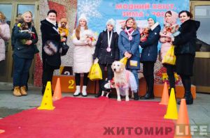 Дефіле на чотирьох лапах у Житомирі