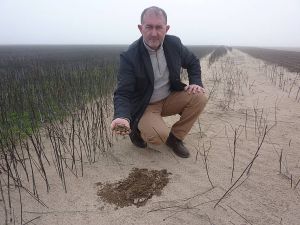 Час вигрібати пісок