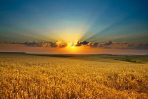 Земля — це щось більше, ніж просто товар
