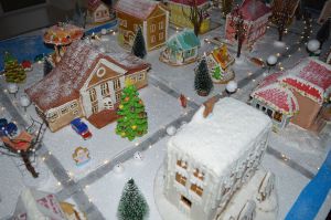 Покусали міську раду