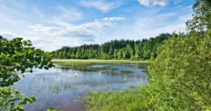 На Рівненщині створюють біосферний резерват