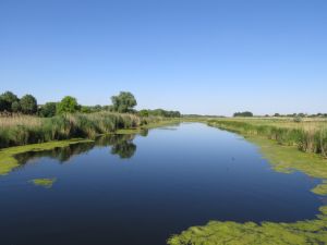 У Слов’янському районі створено ще вісім заказників