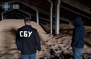 На державній землі «нахімічили» з соняшником та кукурудзою