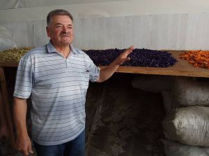Як можна заробляти на... бур’янах