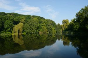 У Києві хочуть розширювати «Голосіївський» парк