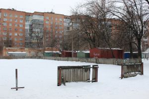 У Полтаві снігу не було, а в сніжки гралися...