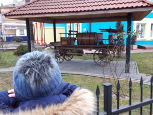 У Рівному кінно-бочковий хід... сходить з п’єдесталу