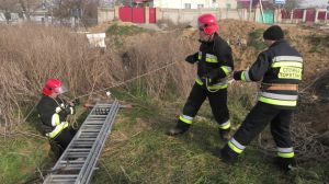 У селі Чорнобаївка вулична пастка дитину проковтнула