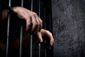 Мешканець Чигиринського району отримав покарання за жорстоке поводження з твариною
