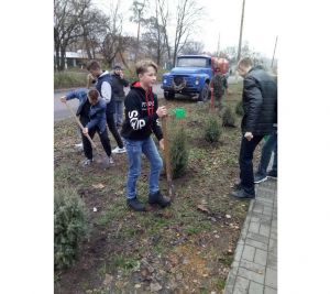 Ялівець козацький від норвезького інвестора