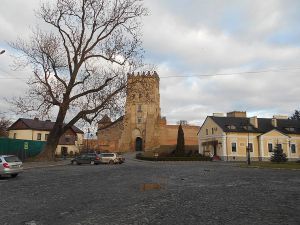 «Лесин» ясен перебуває в критичному стані