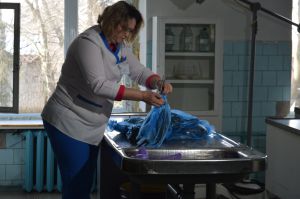 Загибель птахів біля Каховки набуває загрозливих масштабів