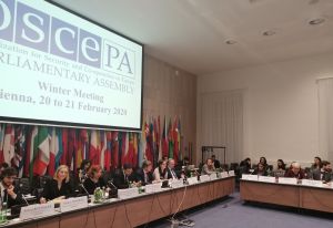 На засіданні ОБСЄ обговорили  безпекову ситуацію в нашій країні