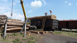 У Глухівському агролісгоспі забарикадувалися від інспекторів