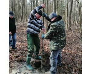 Джерело, де народилася «Лісова пісня»