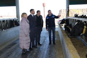 Щоб позбутися кадрового голоду