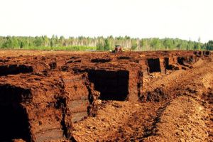 На Чернігівщині торфовики готові страйкувати