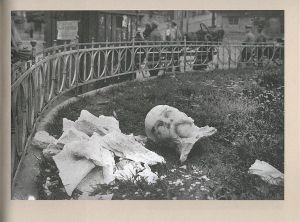 Сторозтерзаний 1919-й