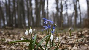 Такої погоди не було 140 років