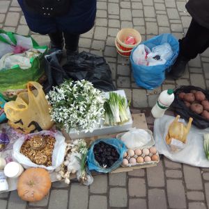 Продавці первоцвітів штрафів не бояться