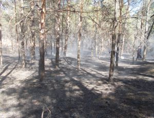 На Херсонщині нікому буде гасити пожежі 