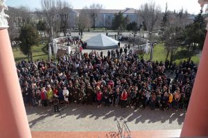 Луганська область пішла на рекорд і встановила його