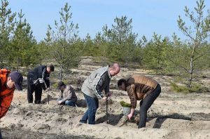 На згарищі лісомисливського господарства в Луганській області з’являться саджанці