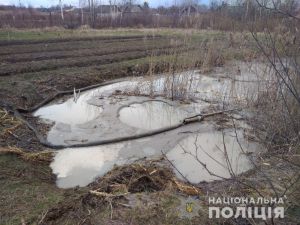 На Рівненщині видобували бурштин на чужому городі
