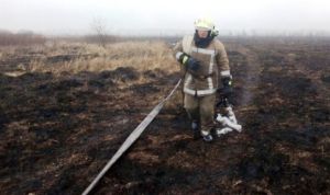 У Чернігівській області горить торфовище