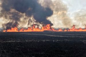 Суха трава горить повсюди