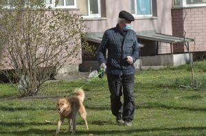 Жорсткі запобіжні заходи: контроль, облік, штраф